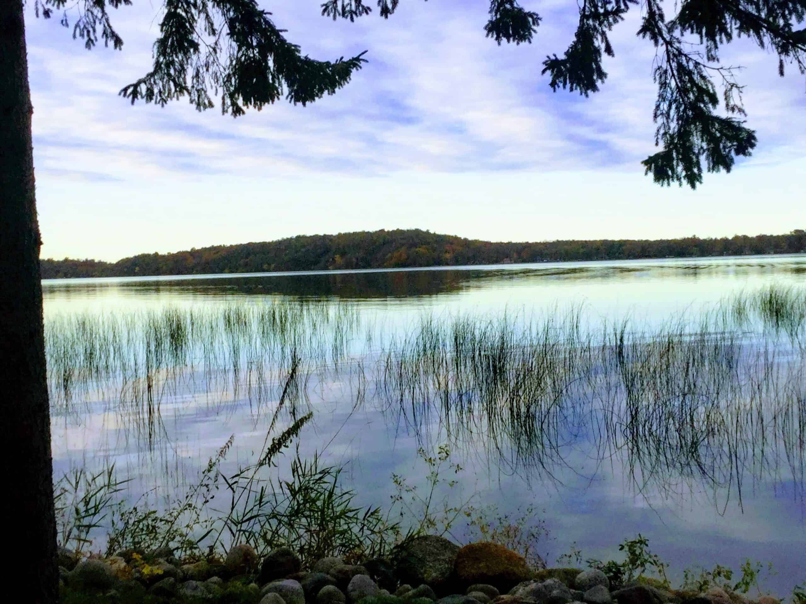 MN Lakefront Cabin and Land Auction