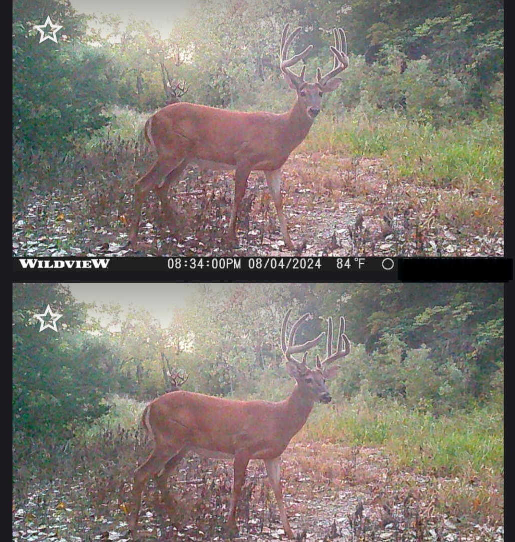 40± Acre Hunting Tract in Northwest Missouri