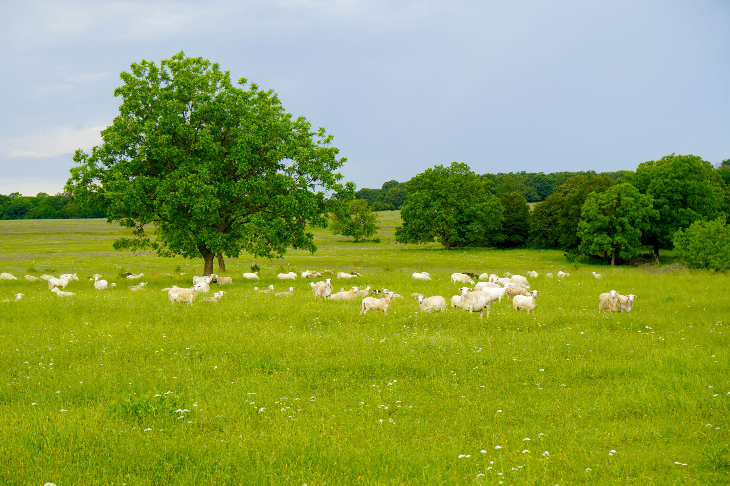 Central Oklahoma Ranch For Sale, Lincoln County