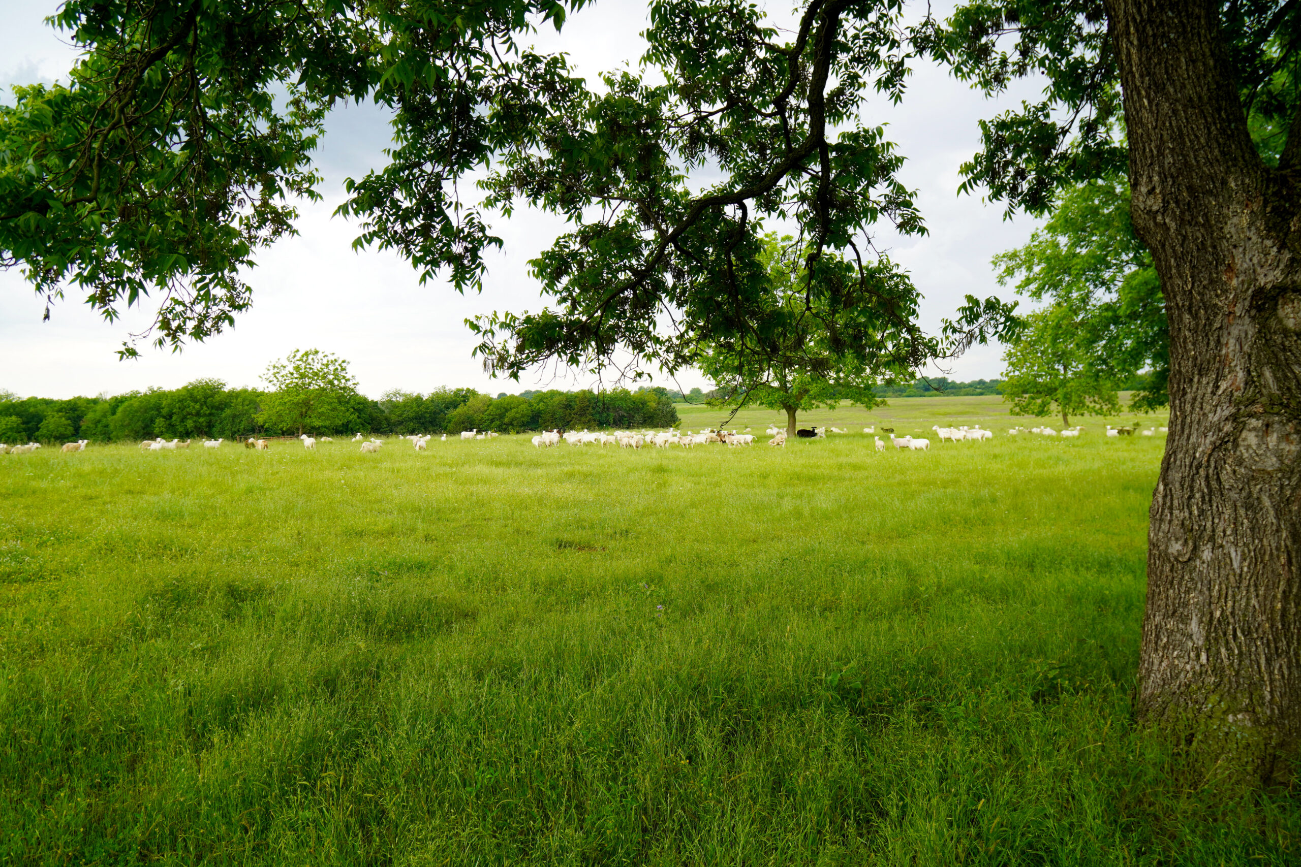 Central Oklahoma Ranch For Sale, Lincoln County