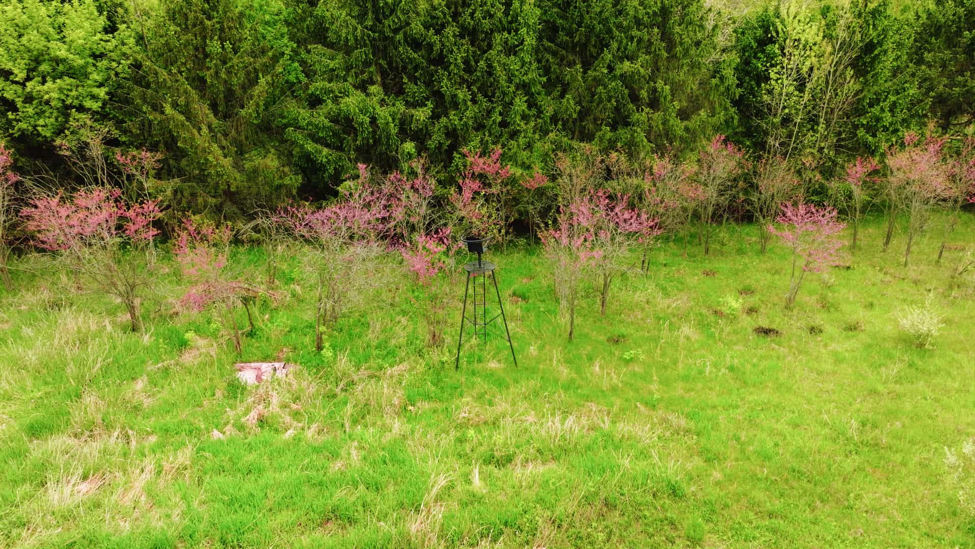 15 Acre Hunting Land in Potterville MI