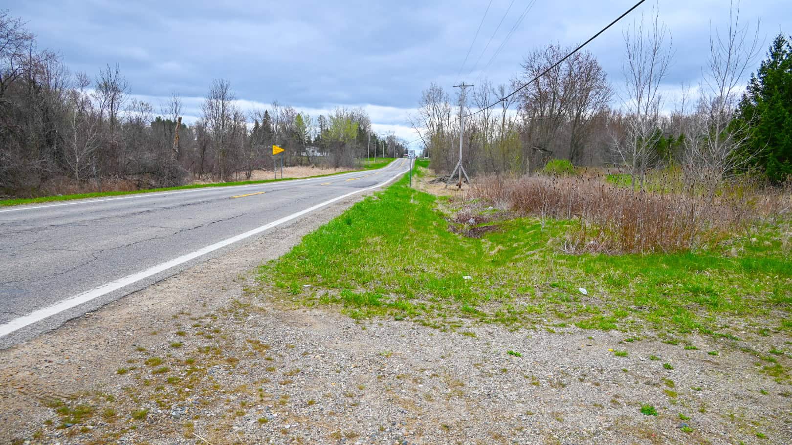15 Acre Hunting Land in Potterville MI