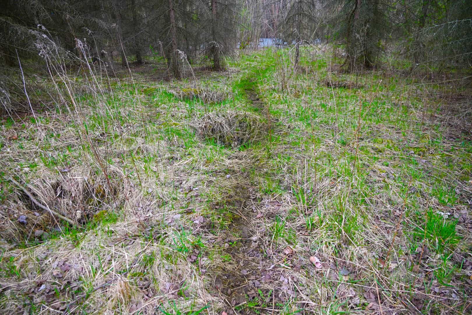 15 Acre Hunting Land in Potterville MI