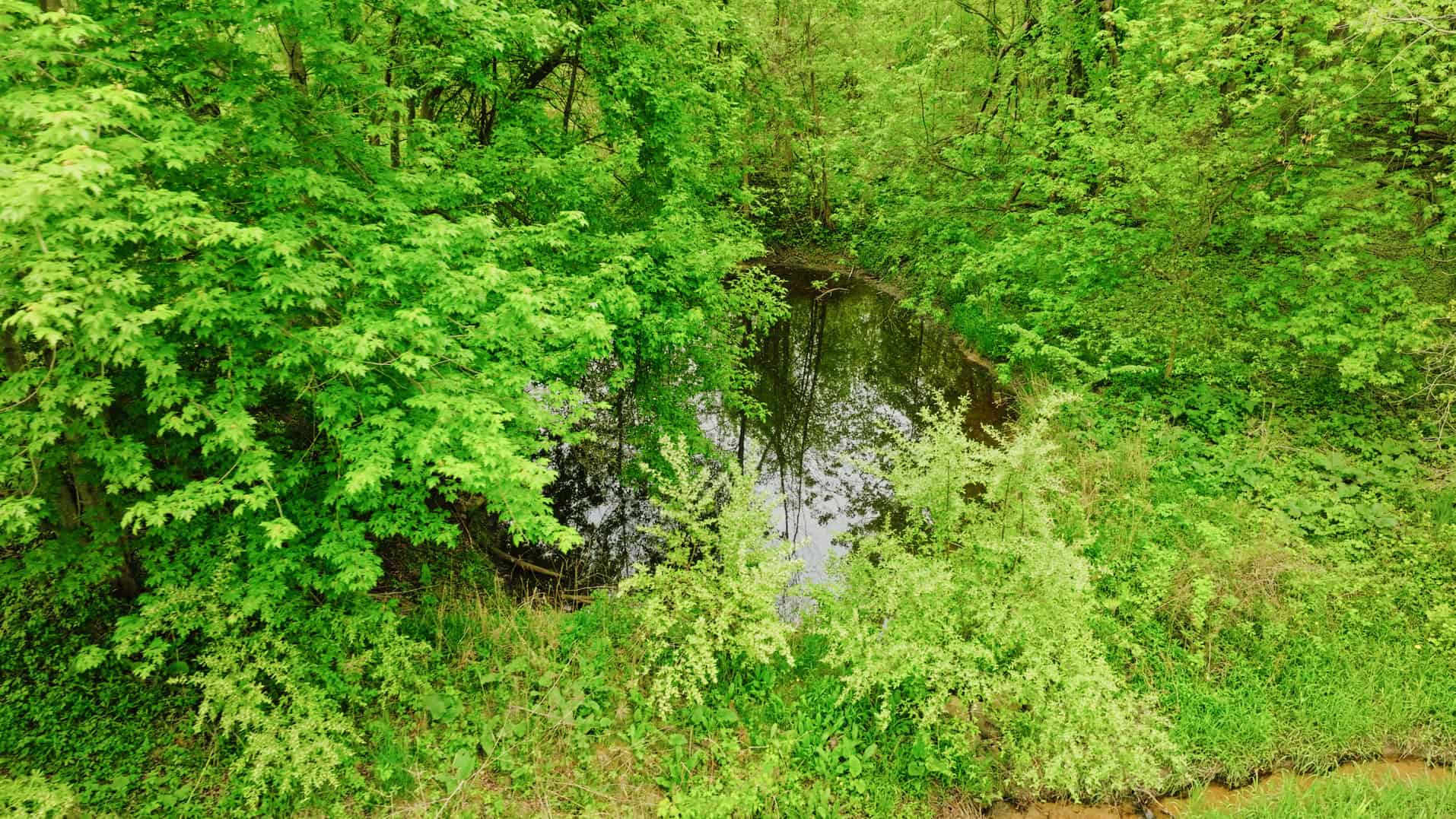15 Acre Hunting Land in Potterville MI