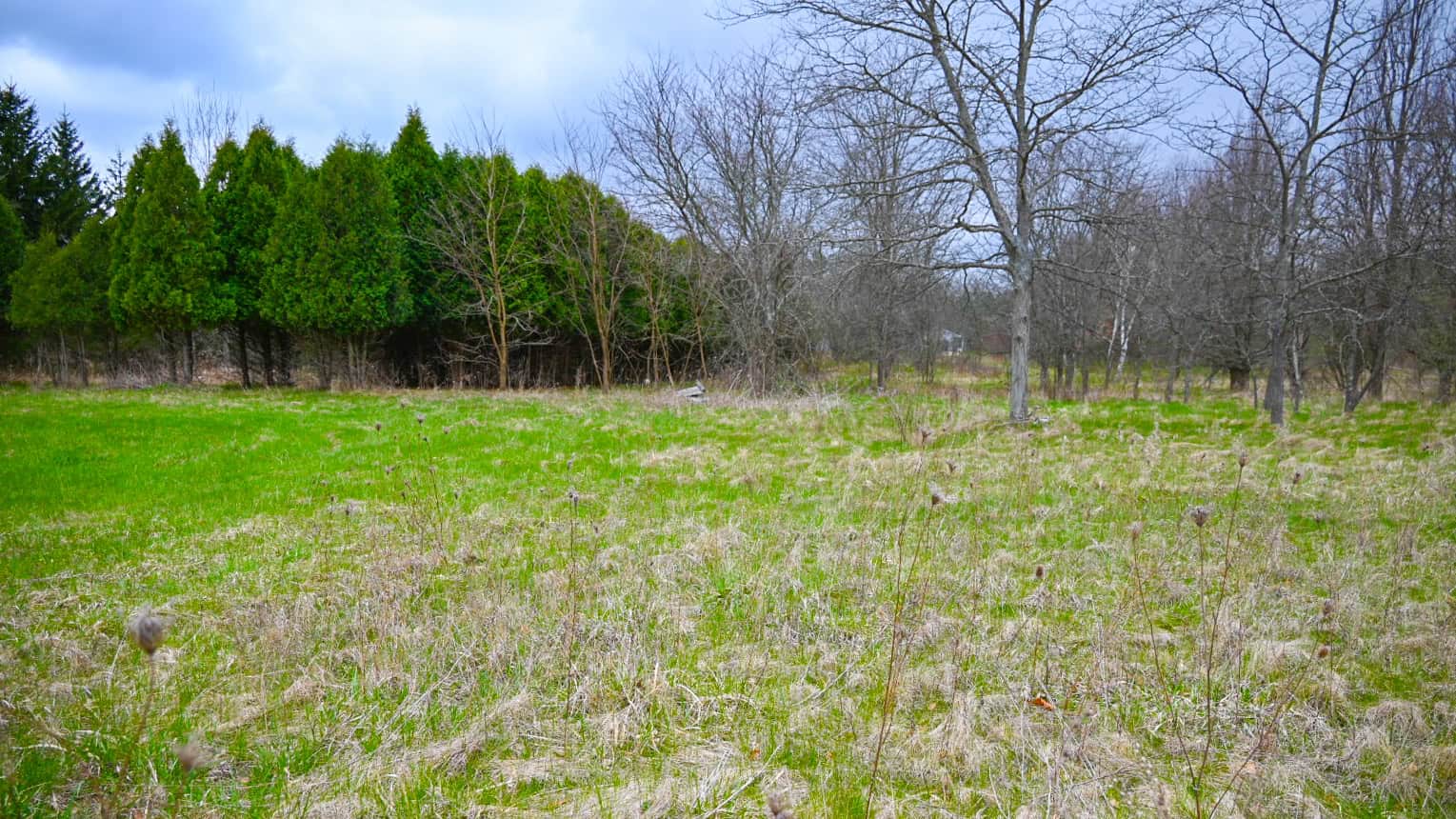 15 Acre Hunting Land in Potterville MI