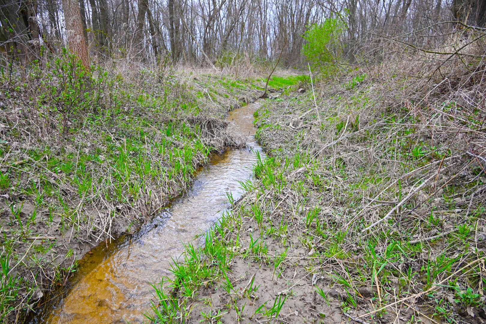 15 Acre Hunting Land in Potterville MI