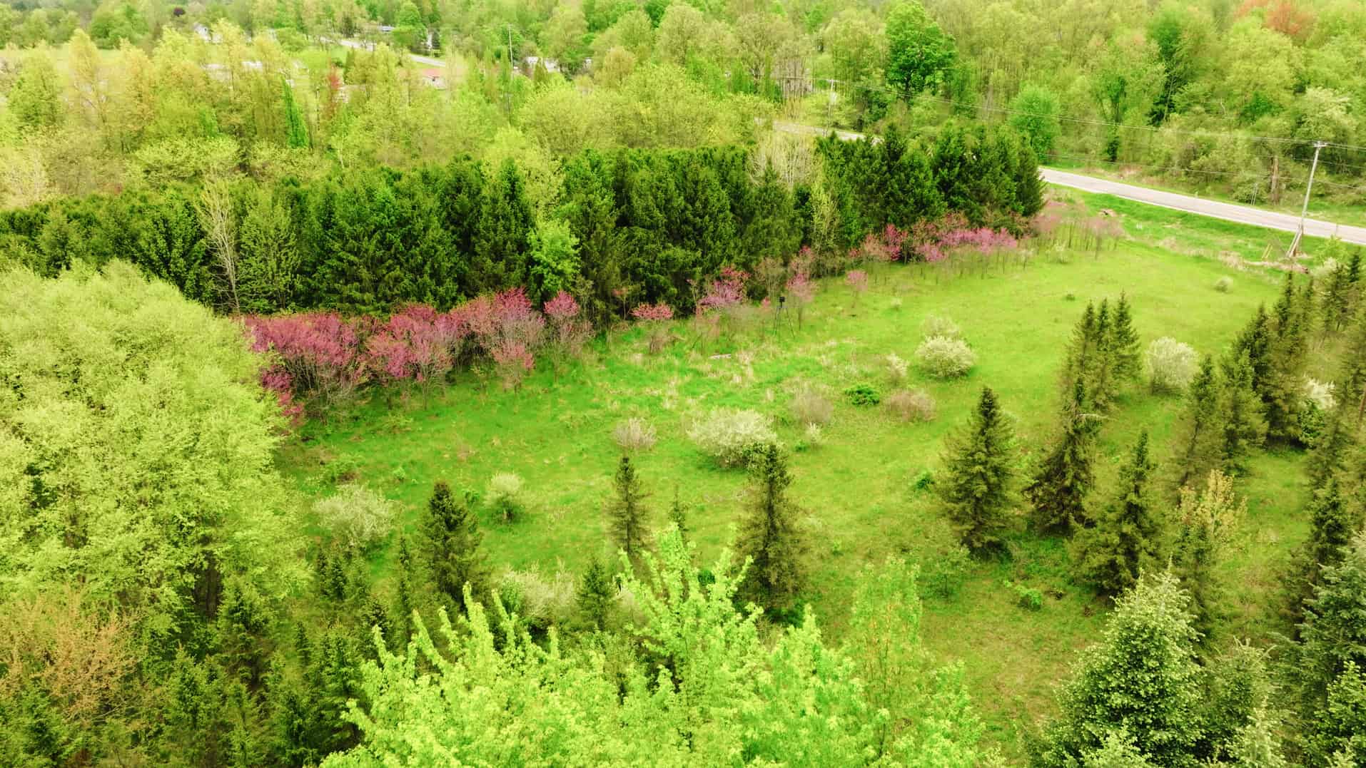 15 Acre Hunting Land in Potterville MI