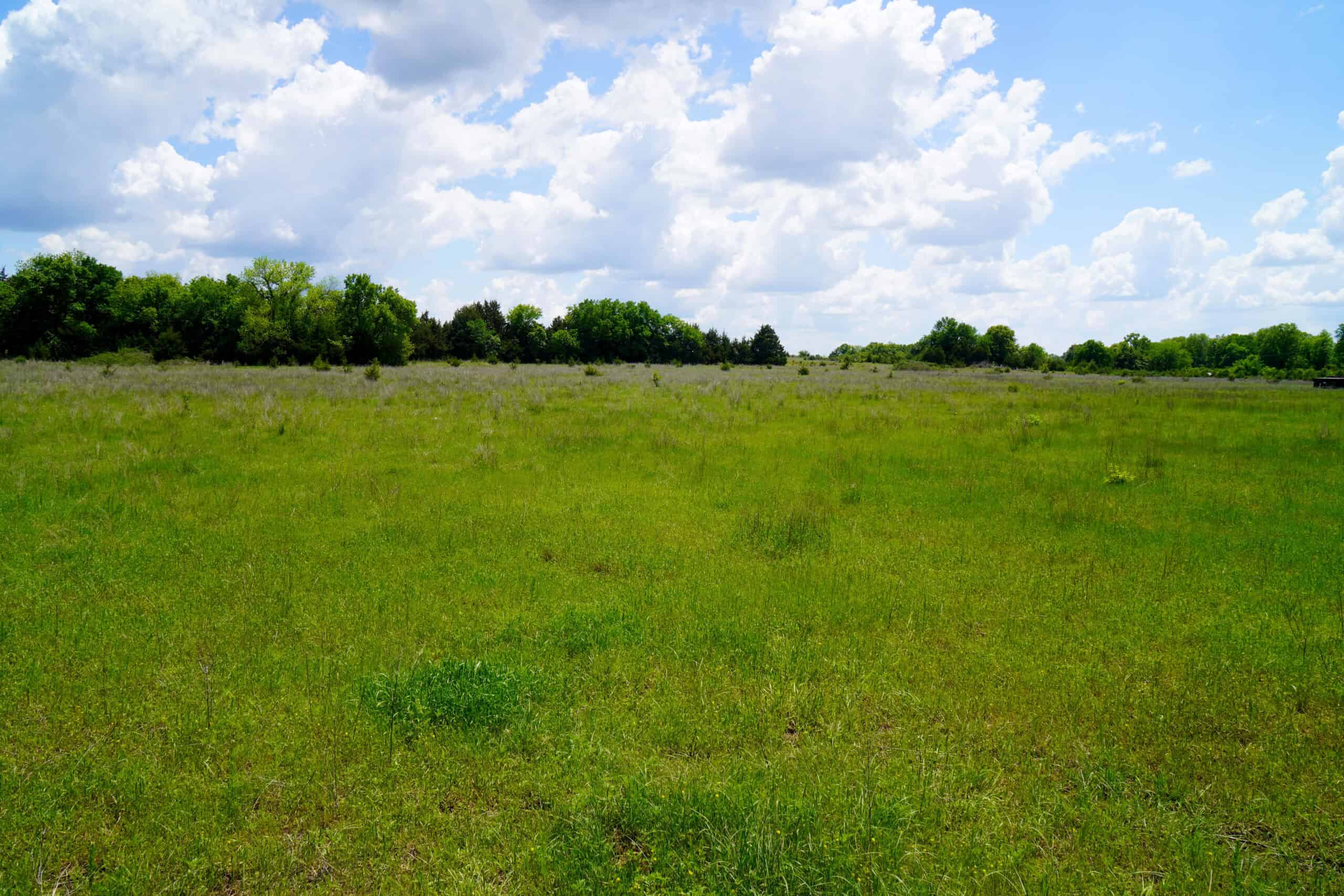 NO RESERVE REAL ESTATE AUCTION 160 Acres Agra, OK
