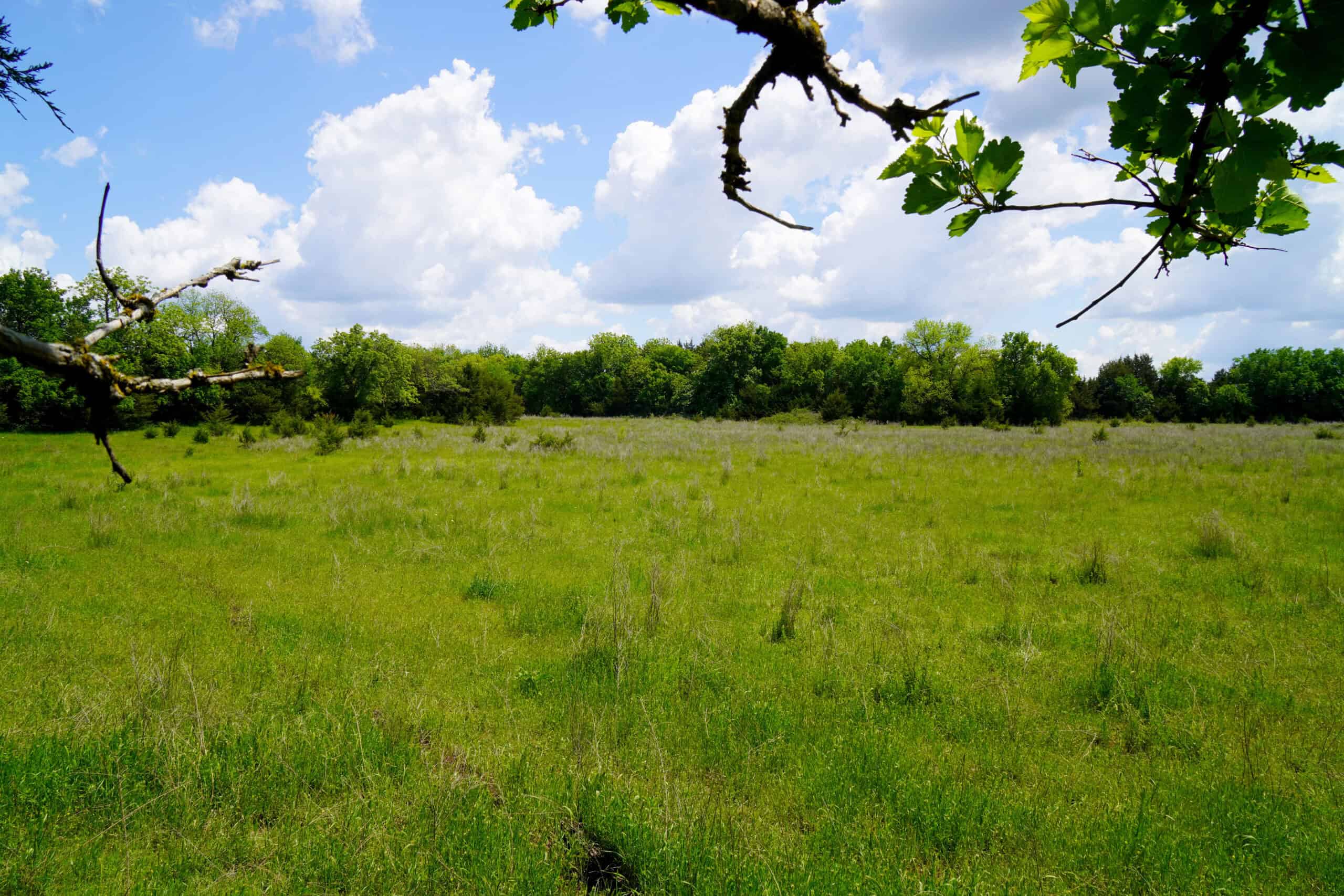NO RESERVE REAL ESTATE AUCTION 160 Acres Agra, OK
