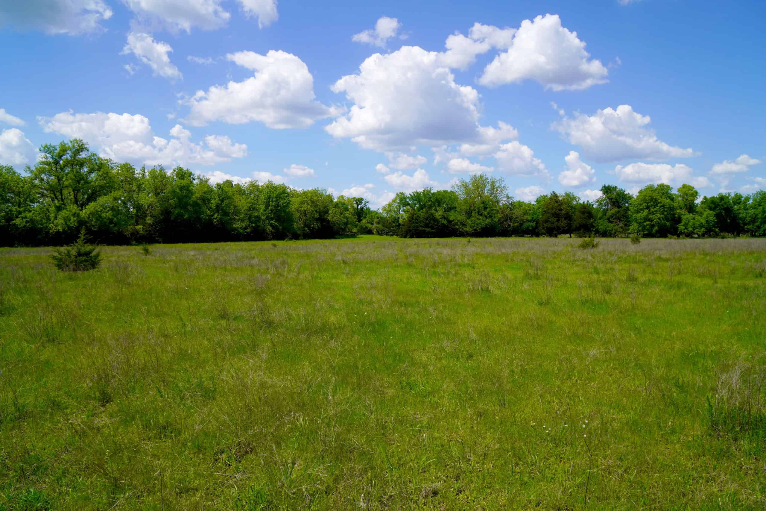 NO RESERVE REAL ESTATE AUCTION 160 Acres Agra, OK