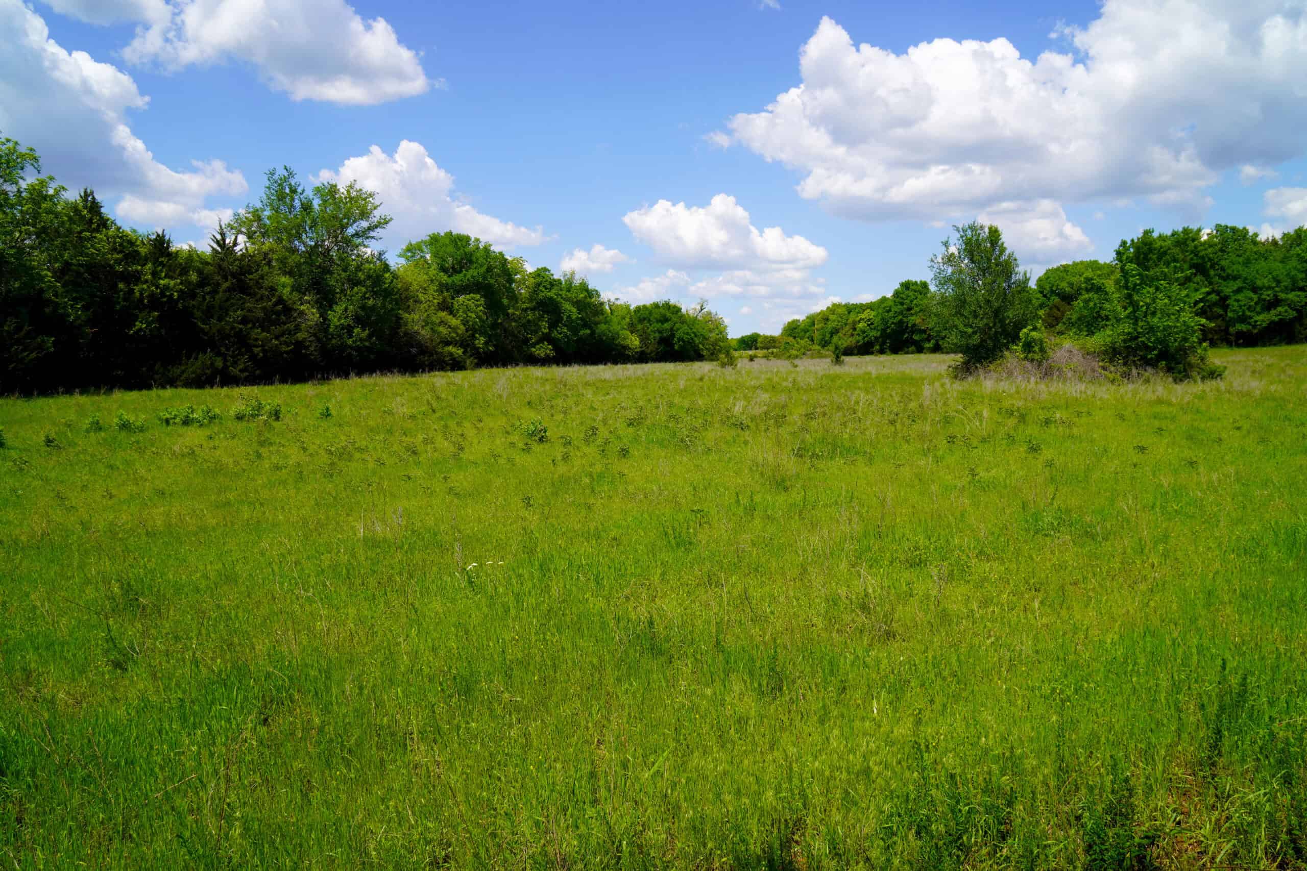 NO RESERVE REAL ESTATE AUCTION 160 Acres Agra, OK