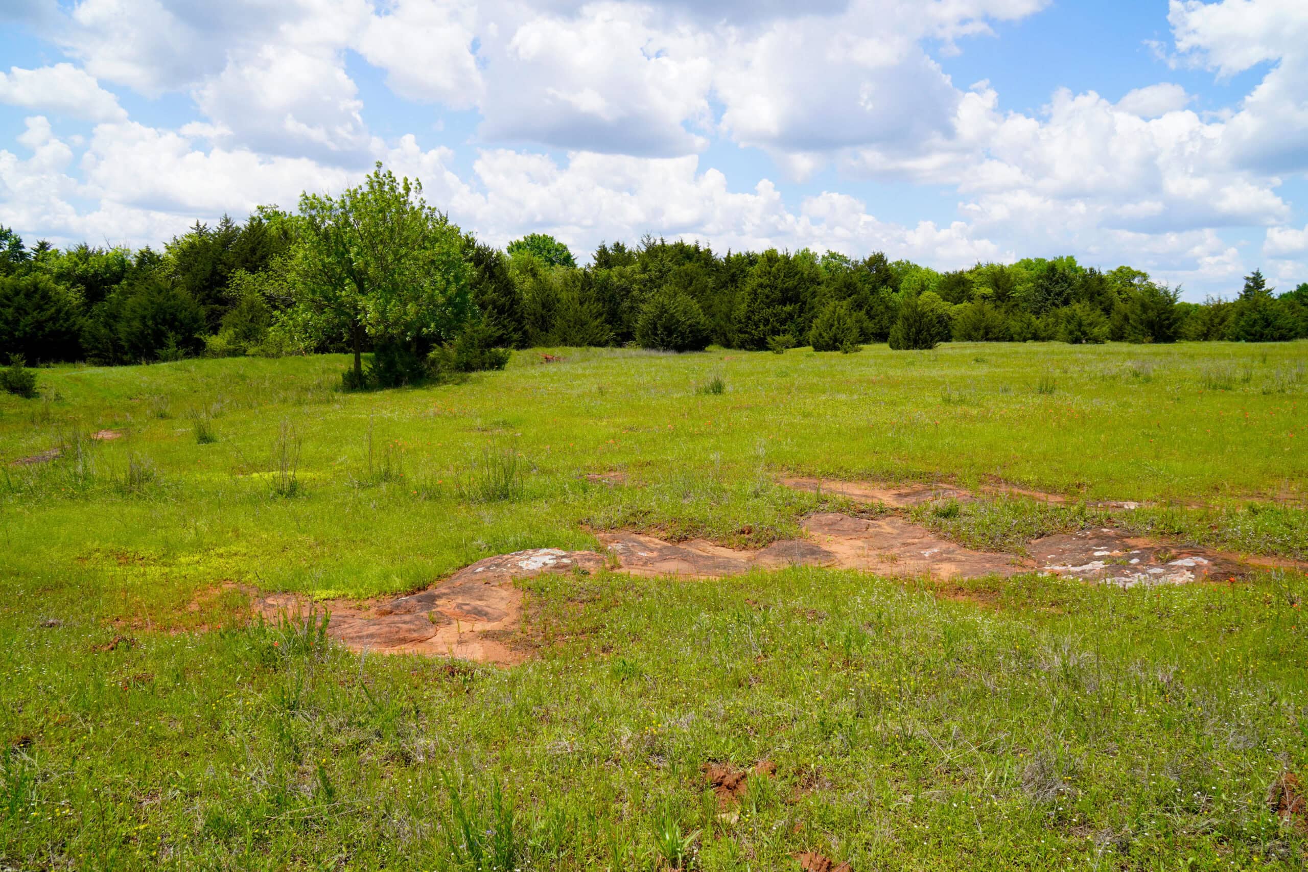 NO RESERVE REAL ESTATE AUCTION 160 Acres Agra, OK