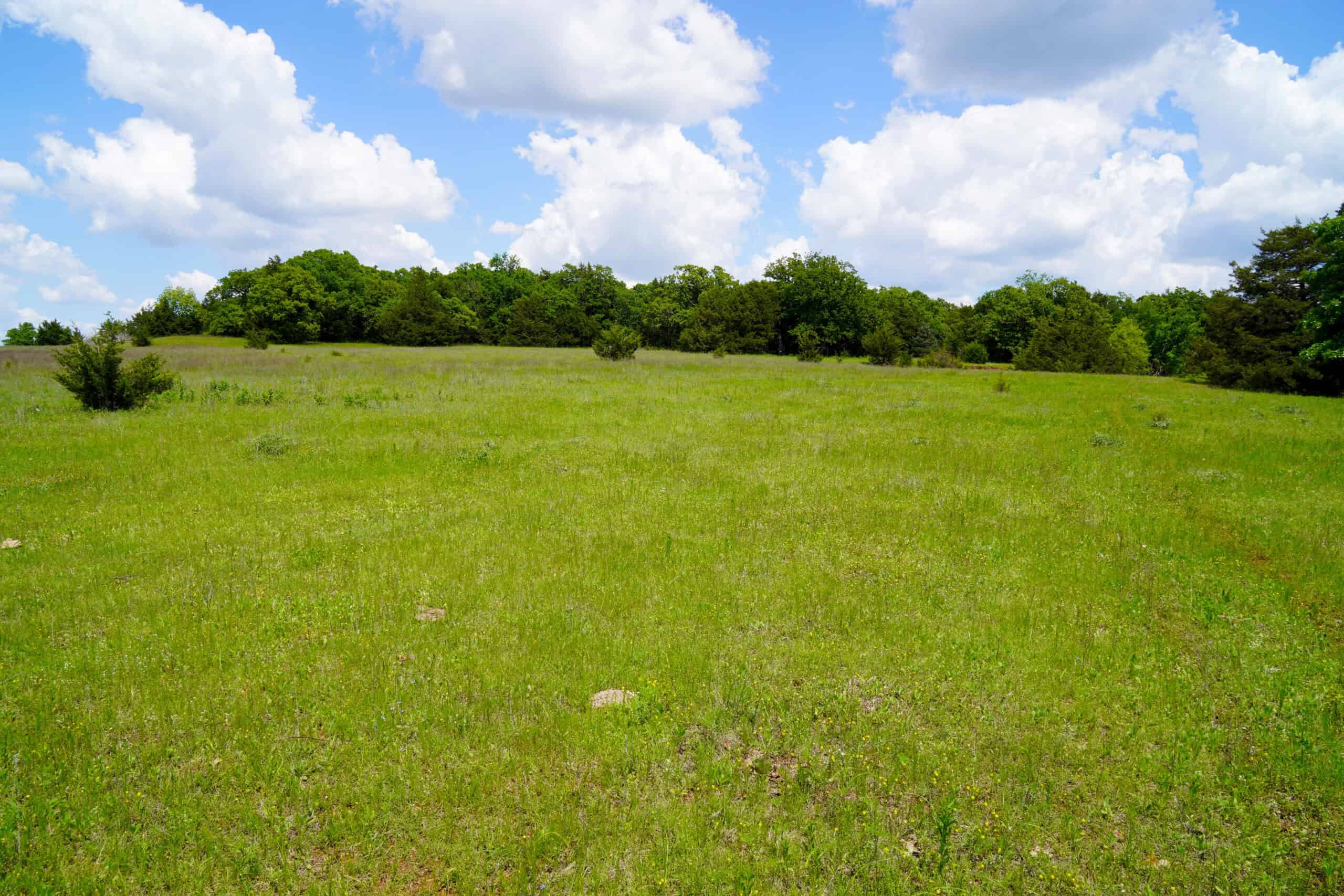 NO RESERVE REAL ESTATE AUCTION 160 Acres Agra, OK