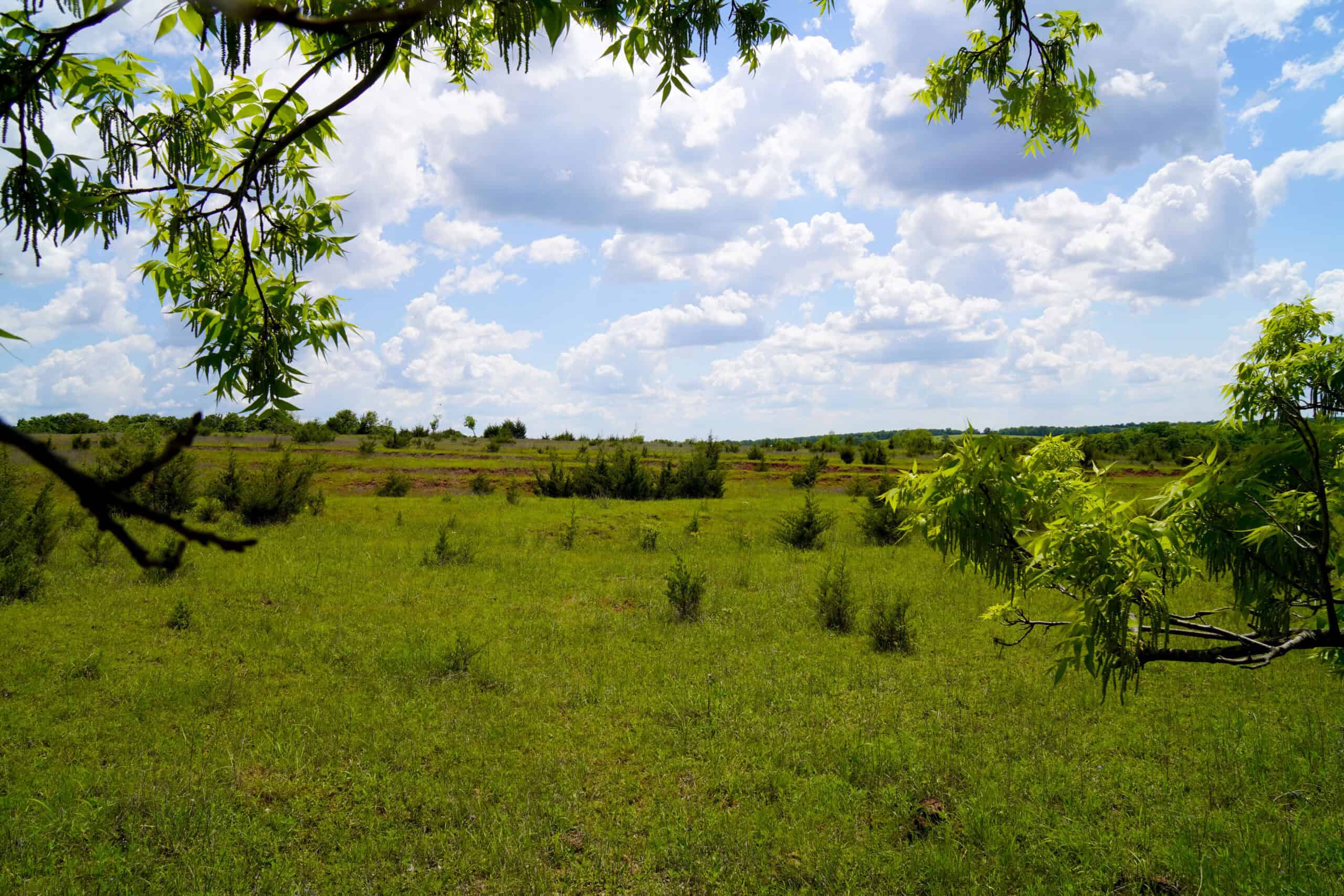 NO RESERVE REAL ESTATE AUCTION 160 Acres Agra, OK