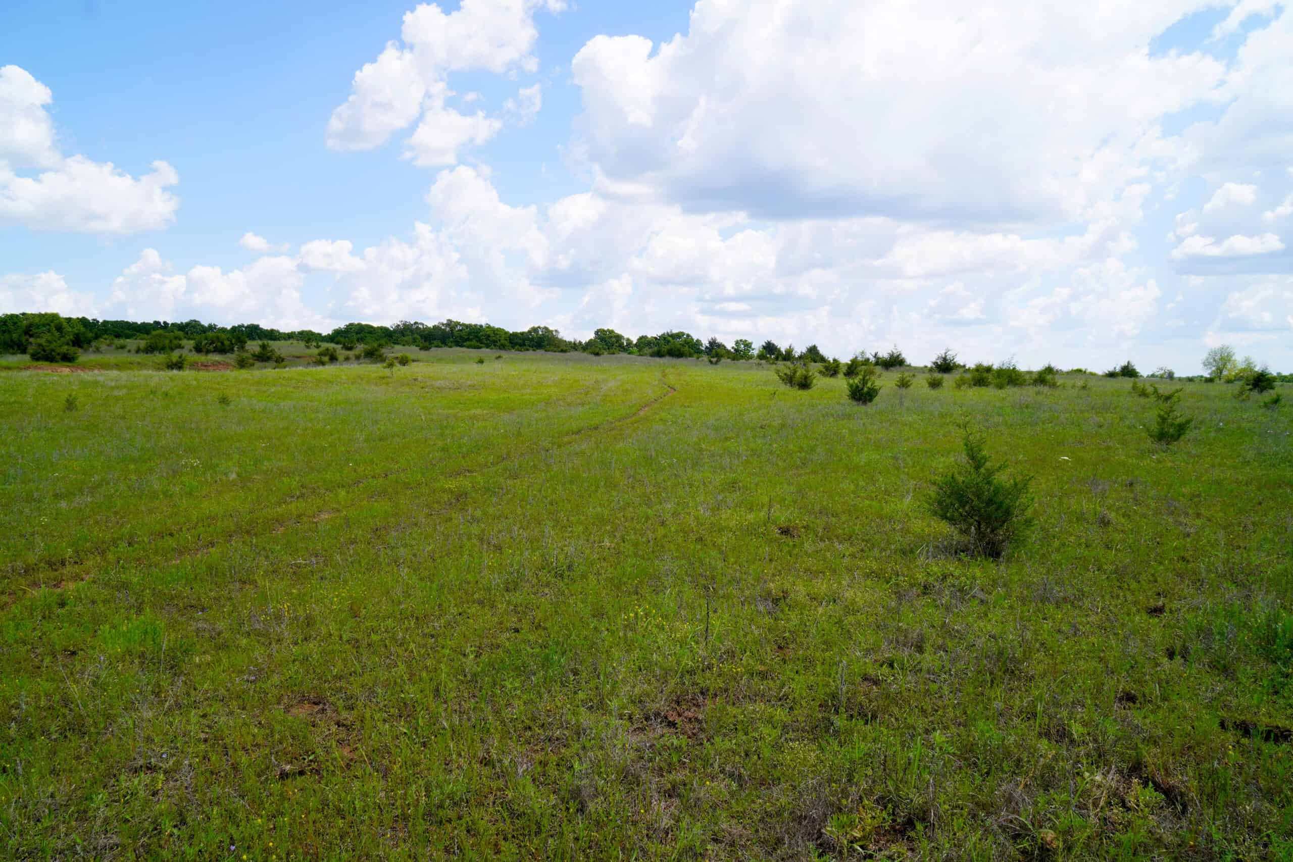 NO RESERVE REAL ESTATE AUCTION 160 Acres Agra, OK