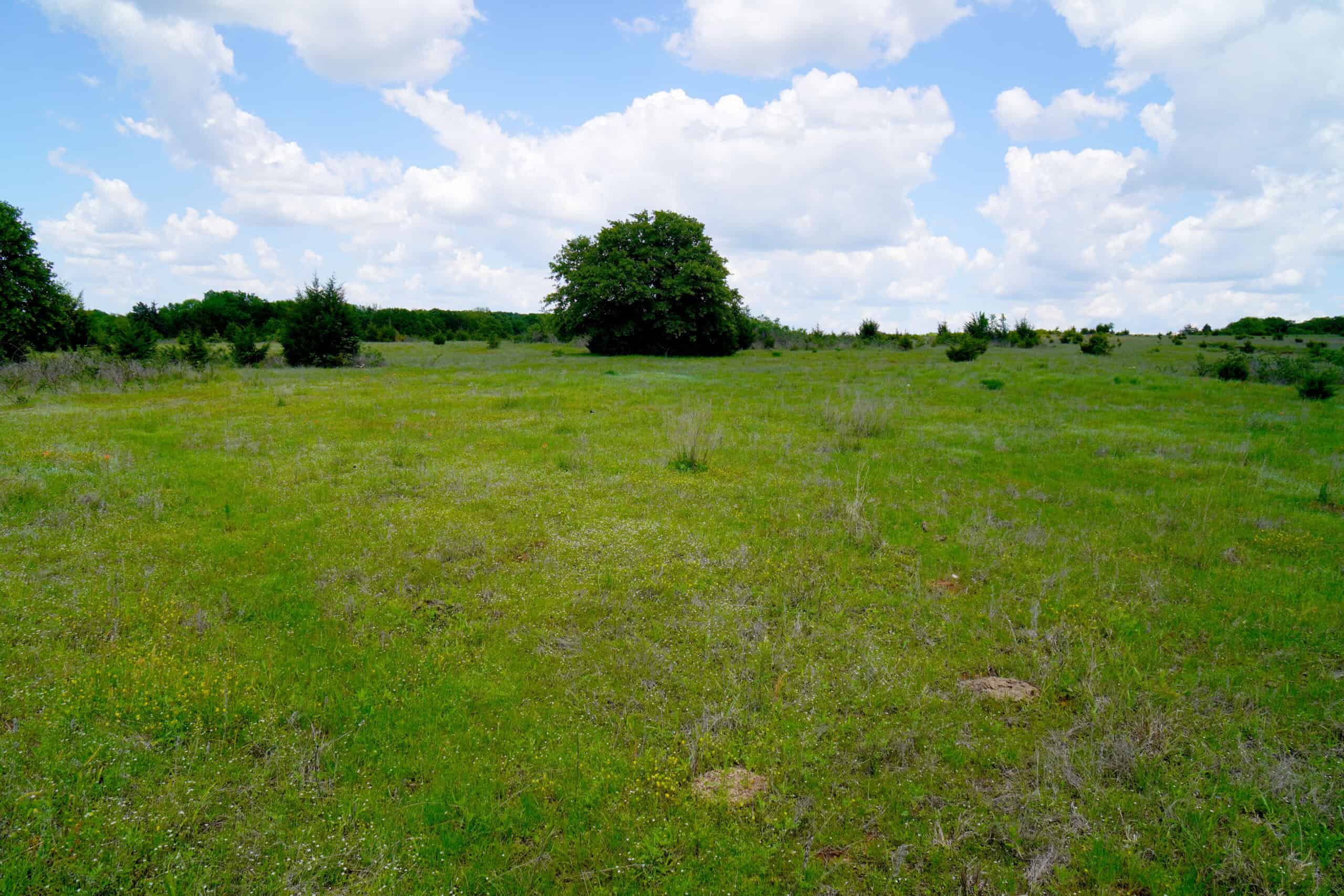 NO RESERVE REAL ESTATE AUCTION 160 Acres Agra, OK