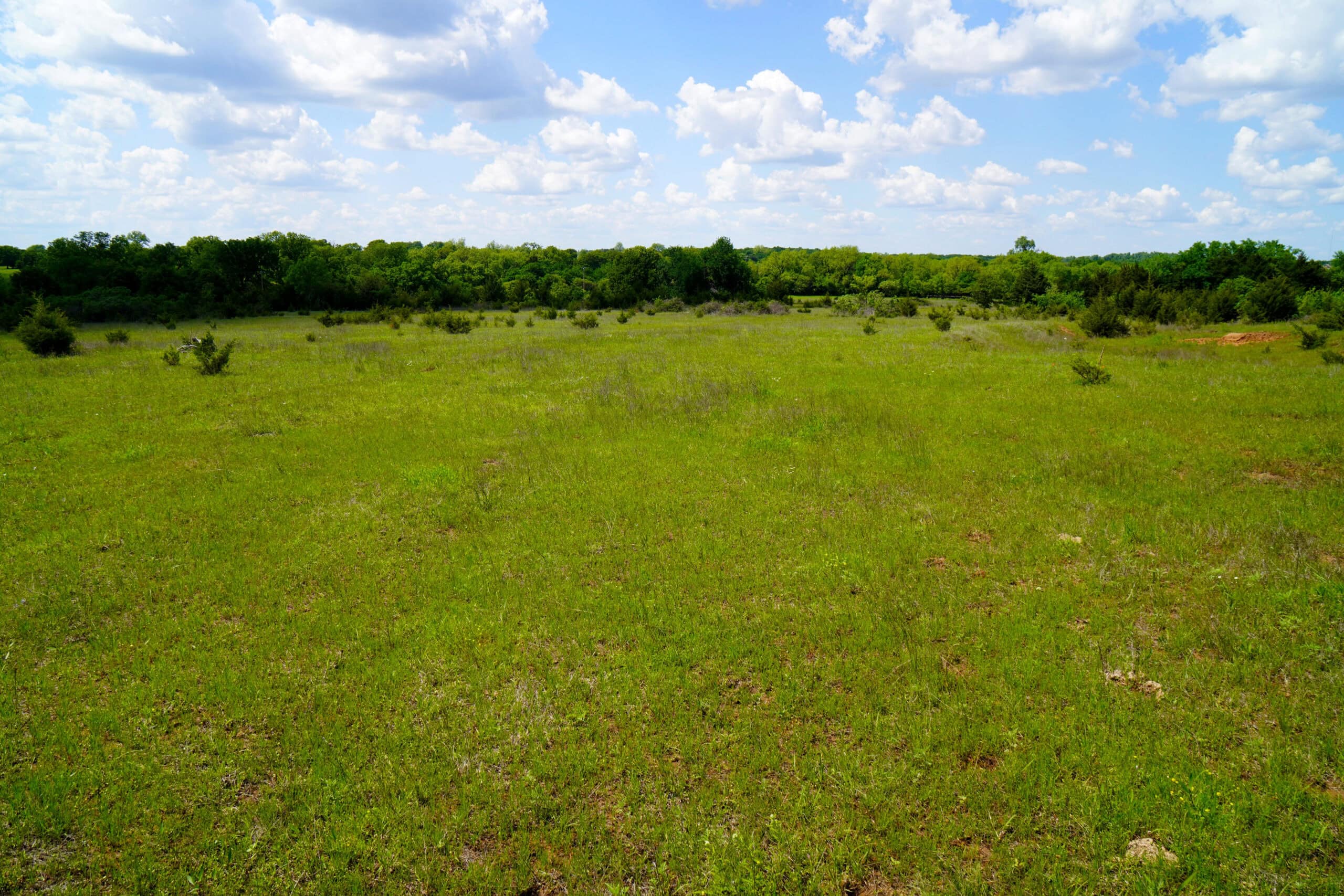 NO RESERVE REAL ESTATE AUCTION 160 Acres Agra, OK