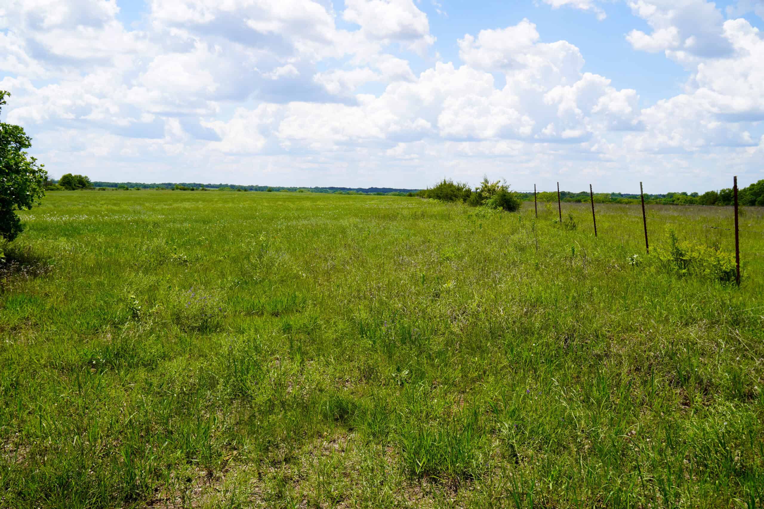 NO RESERVE REAL ESTATE AUCTION 160 Acres Agra, OK
