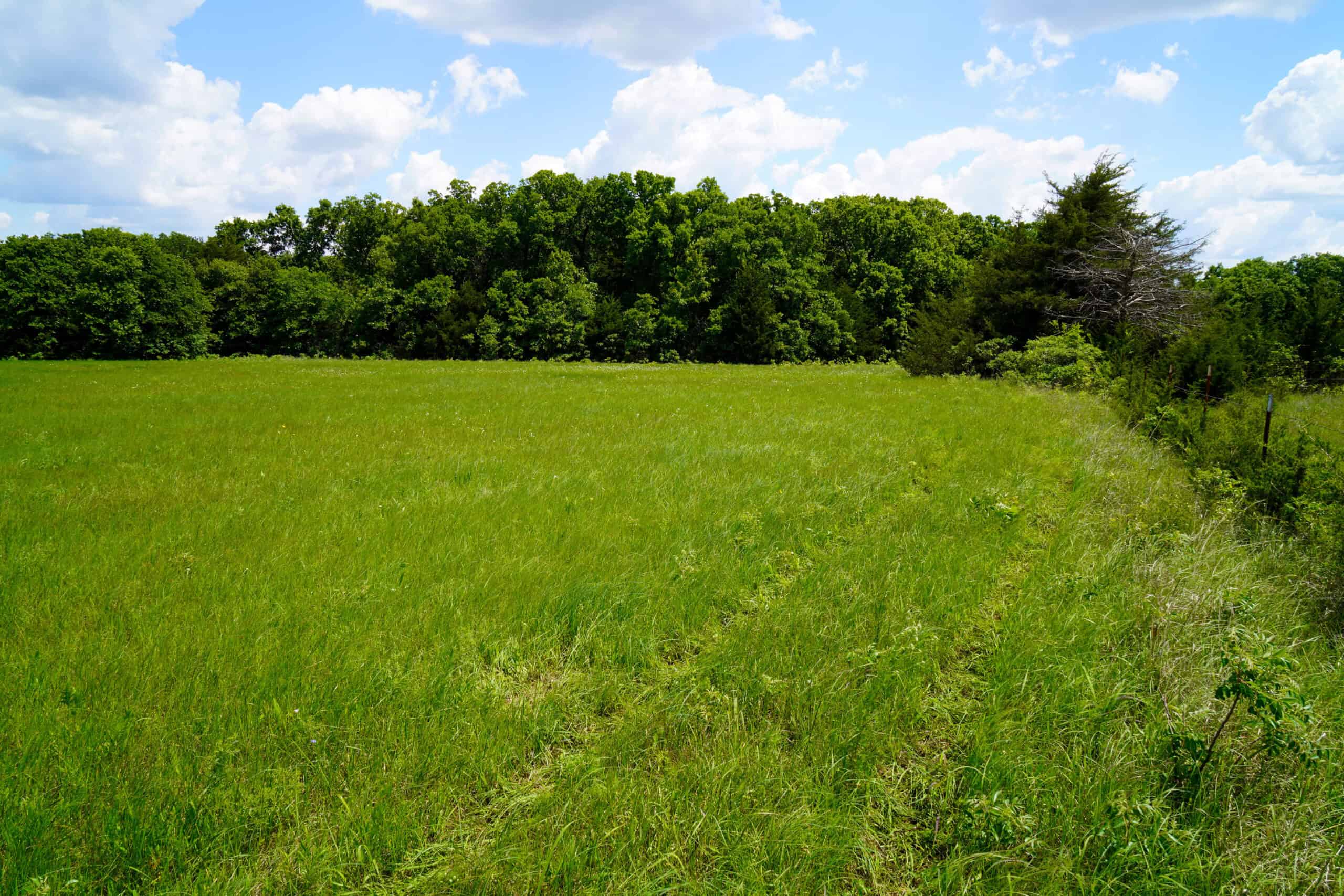 NO RESERVE REAL ESTATE AUCTION 160 Acres Agra, OK