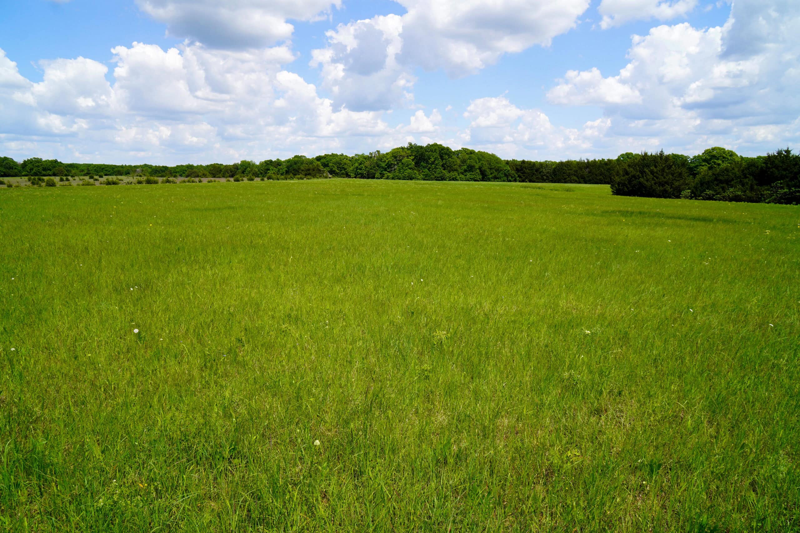 NO RESERVE REAL ESTATE AUCTION 160 Acres Agra, OK