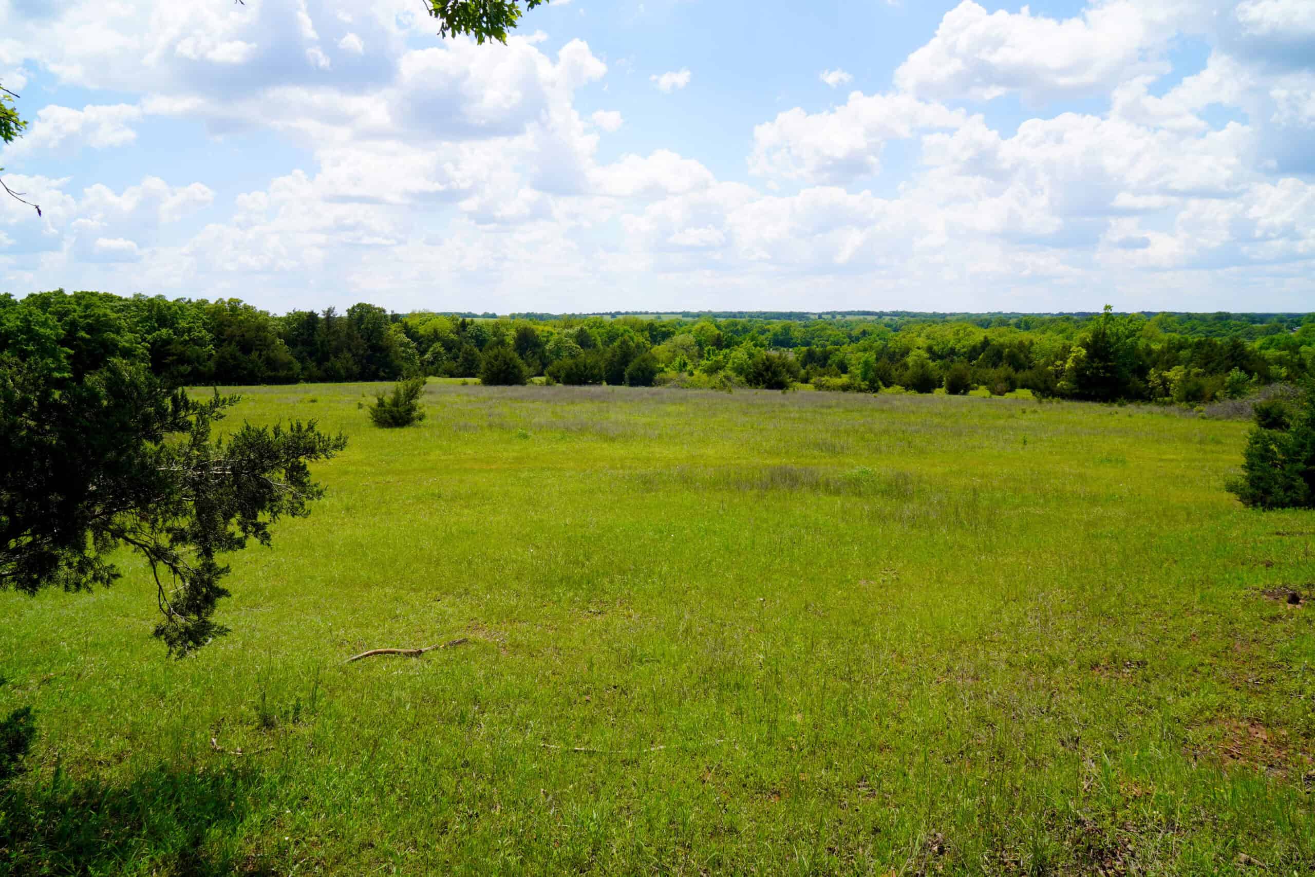 NO RESERVE REAL ESTATE AUCTION 160 Acres Agra, OK