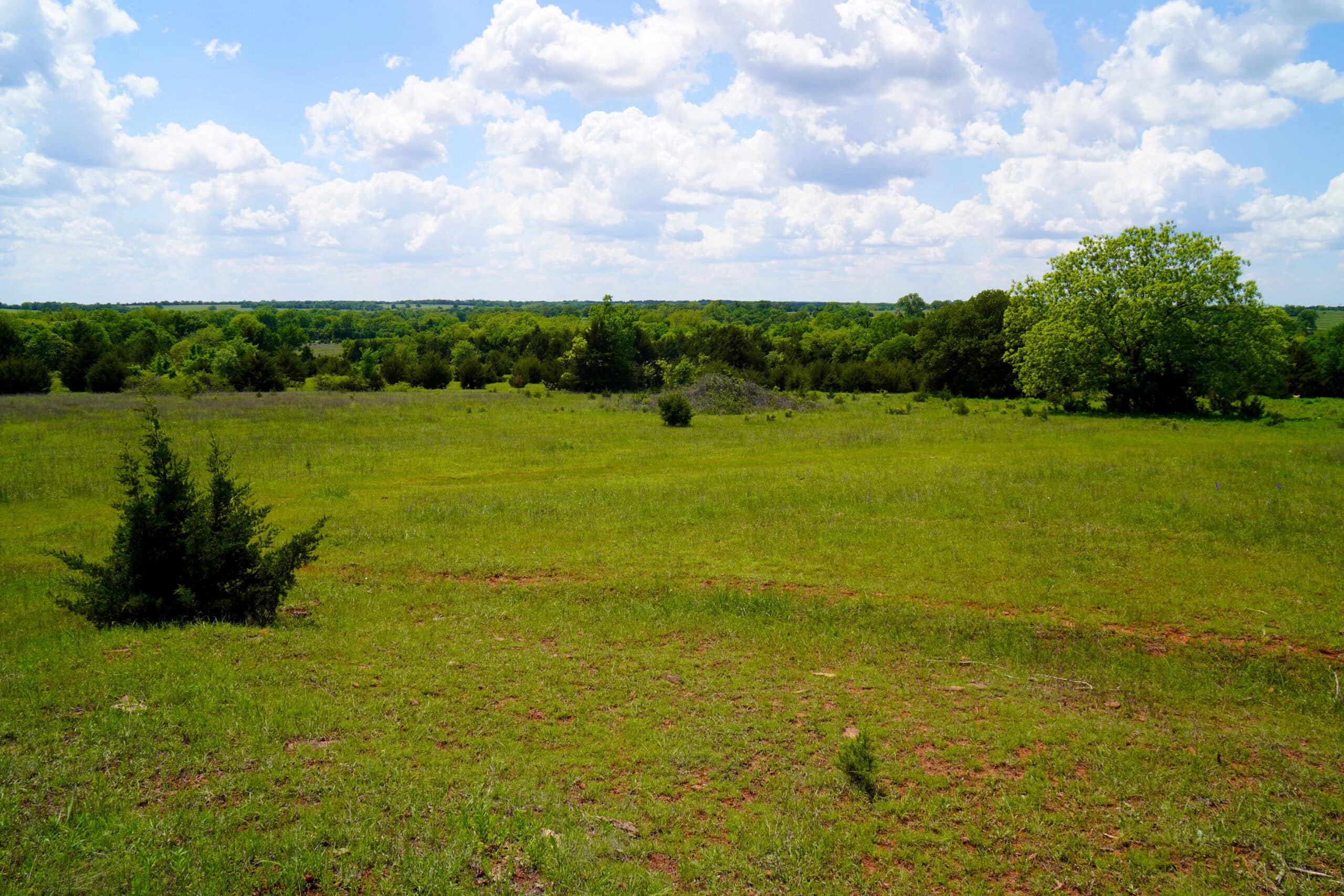NO RESERVE REAL ESTATE AUCTION 160 Acres Agra, OK