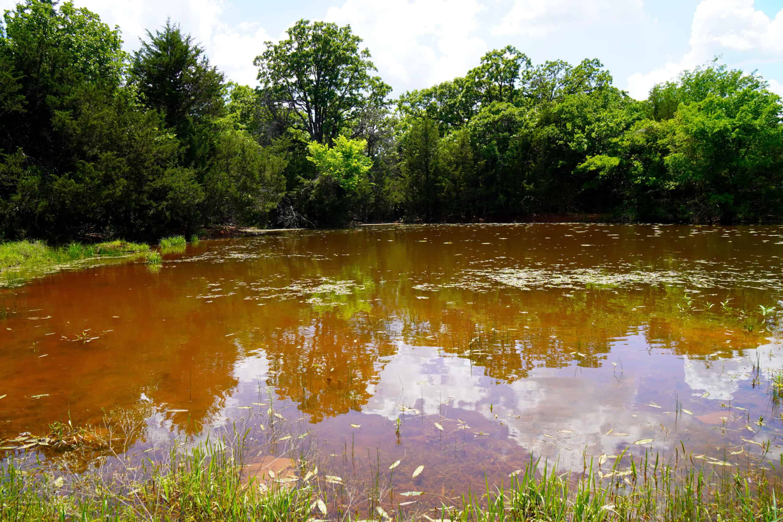 NO RESERVE REAL ESTATE AUCTION 160 Acres Agra, OK