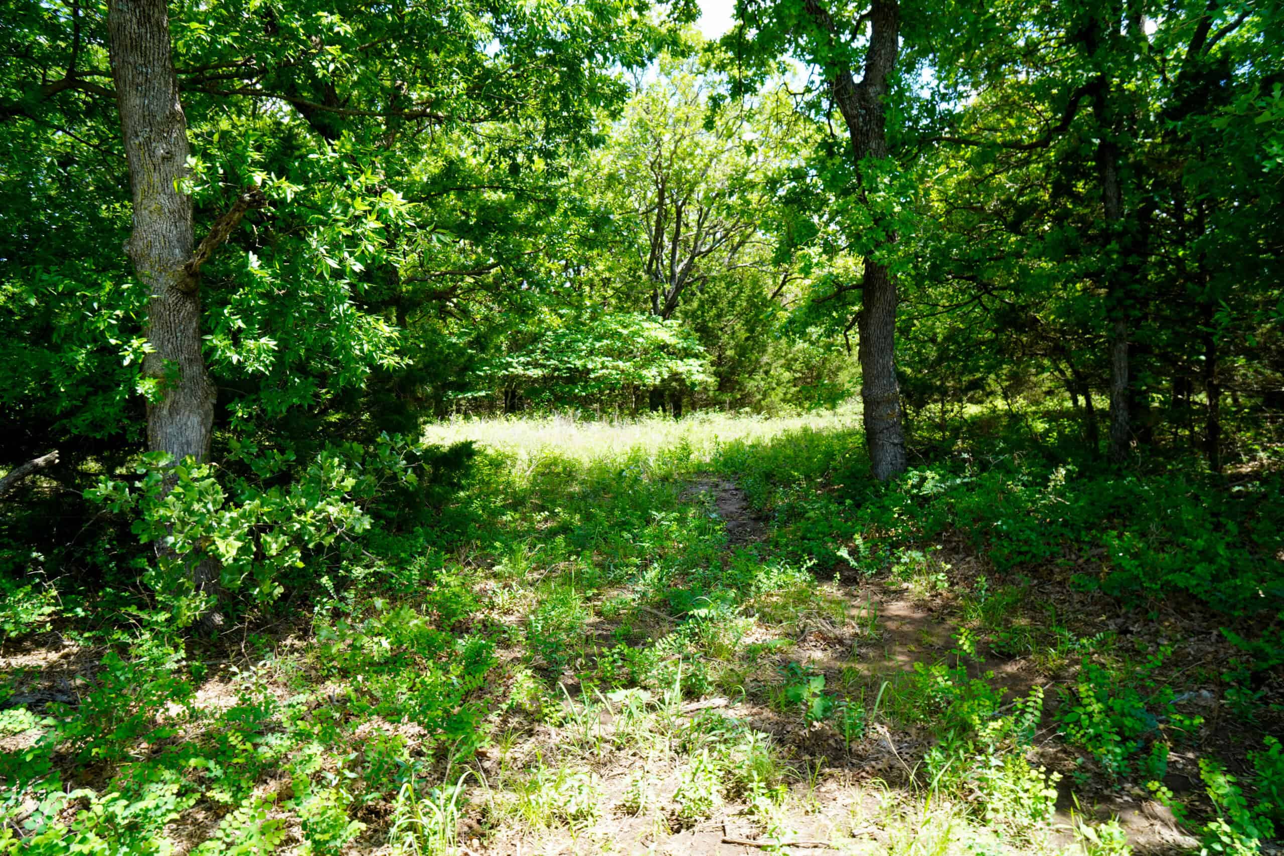 NO RESERVE REAL ESTATE AUCTION 160 Acres Agra, OK