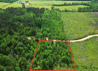 Excellent Off Grid Homesite in Miller County