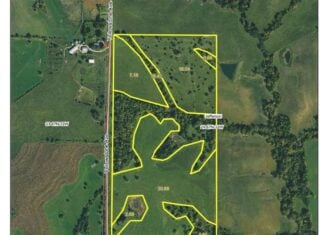 80 ± Acre Northern Parcel Farmland for Sale in Blockton, IA