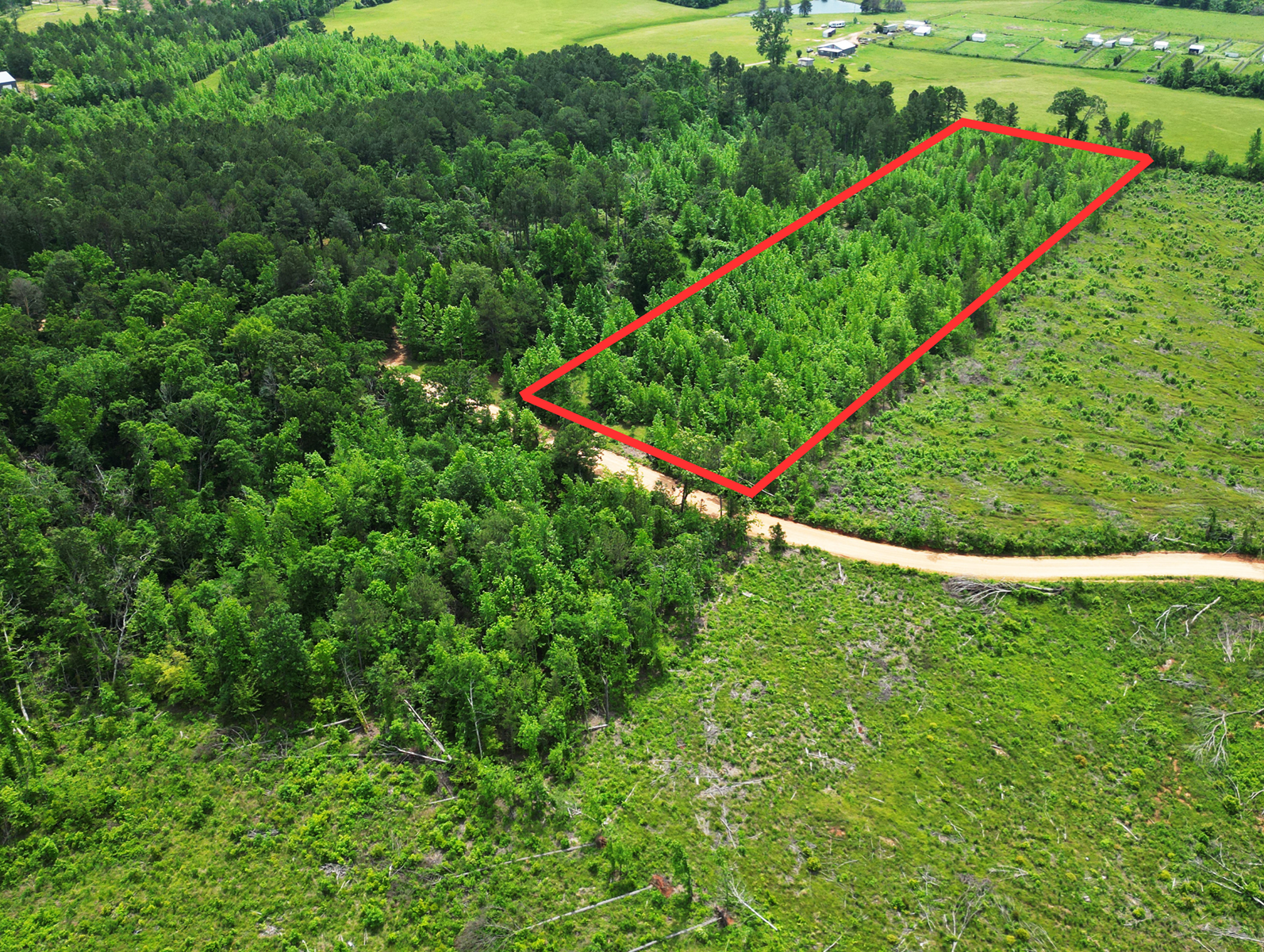 Excellent ±6 AC Hunting Land in Miller County