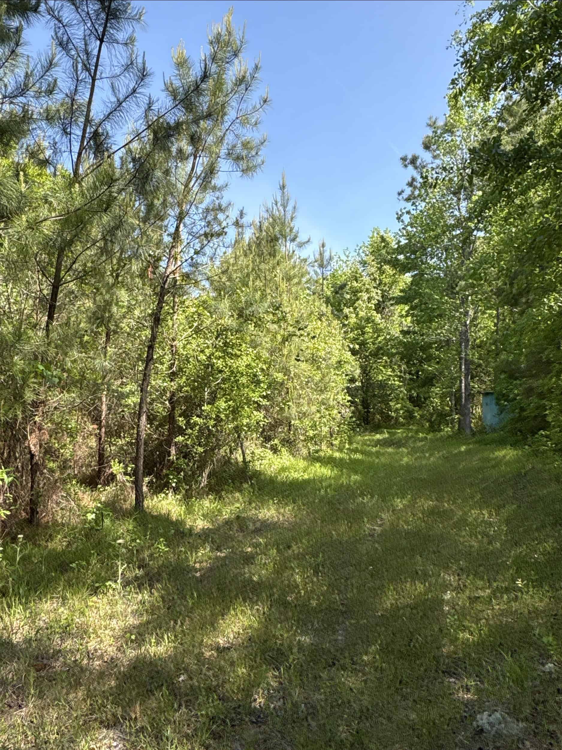 NC Timber/Hunting Land for Sale