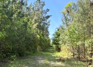 NC Timber/Hunting Land for Sale