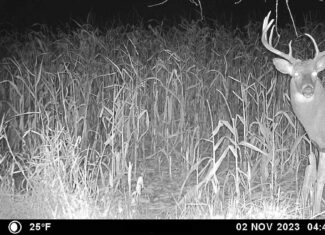 Recreational Paradise in the Driftless Area – 40-Acre Haven in Vernon County, WI