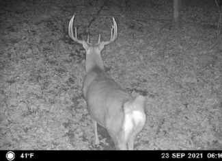 Recreational Paradise in the Driftless Area – 40-Acre Haven in Vernon County, WI