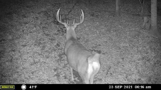 Recreational Paradise in the Driftless Area – 40-Acre Haven in Vernon County, WI