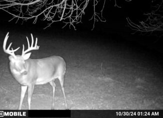 Recreational Paradise in the Driftless Area – 40-Acre Haven in Vernon County, WI