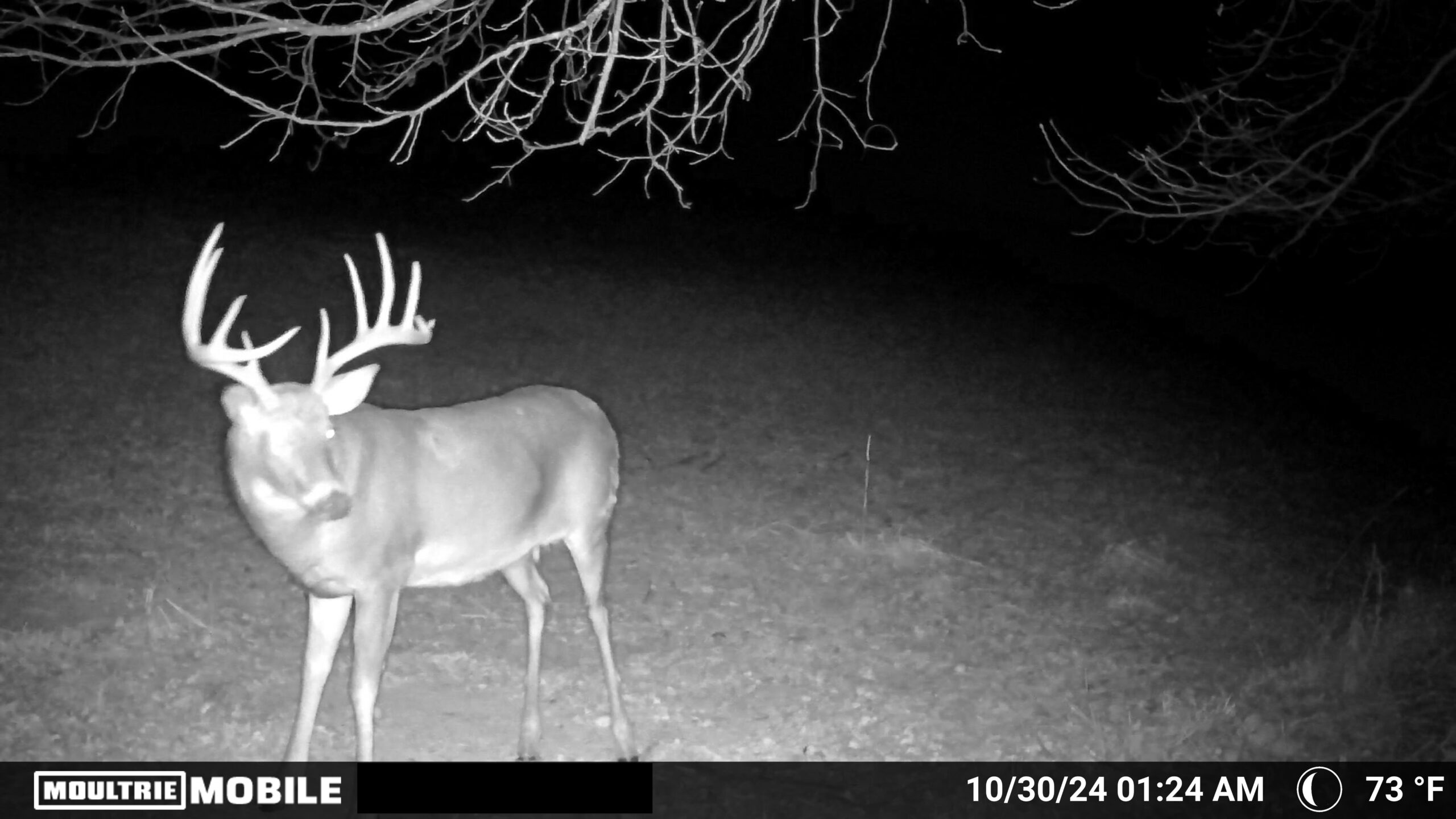 Recreational Paradise in the Driftless Area – 40-Acre Haven in Vernon County, WI