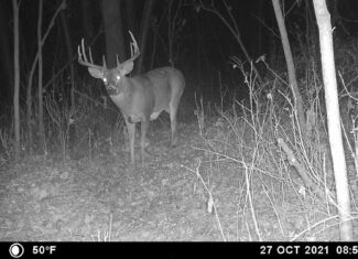 Recreational Paradise in the Driftless Area – 40-Acre Haven in Vernon County, WI