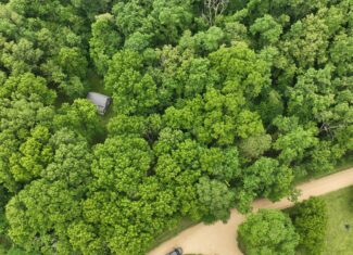 Rustic Woodland Cottage for Sale in Crawford County, WI – 12-Acre Driftless Region Retreat