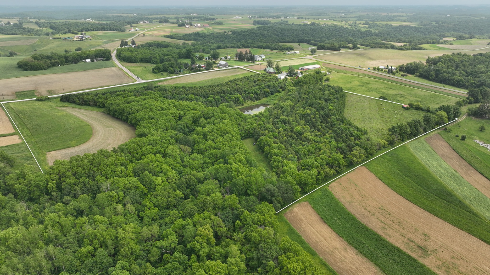 Recreational Paradise in the Driftless Area – 40-Acre Haven in Vernon County, WI