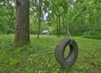 Rustic Woodland Cottage for Sale in Crawford County, WI – 12-Acre Driftless Region Retreat
