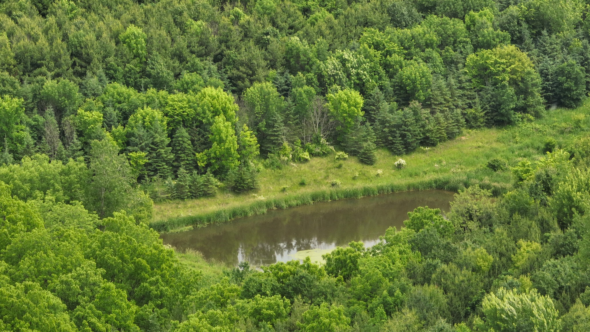 Recreational Paradise in the Driftless Area – 40-Acre Haven in Vernon County, WI