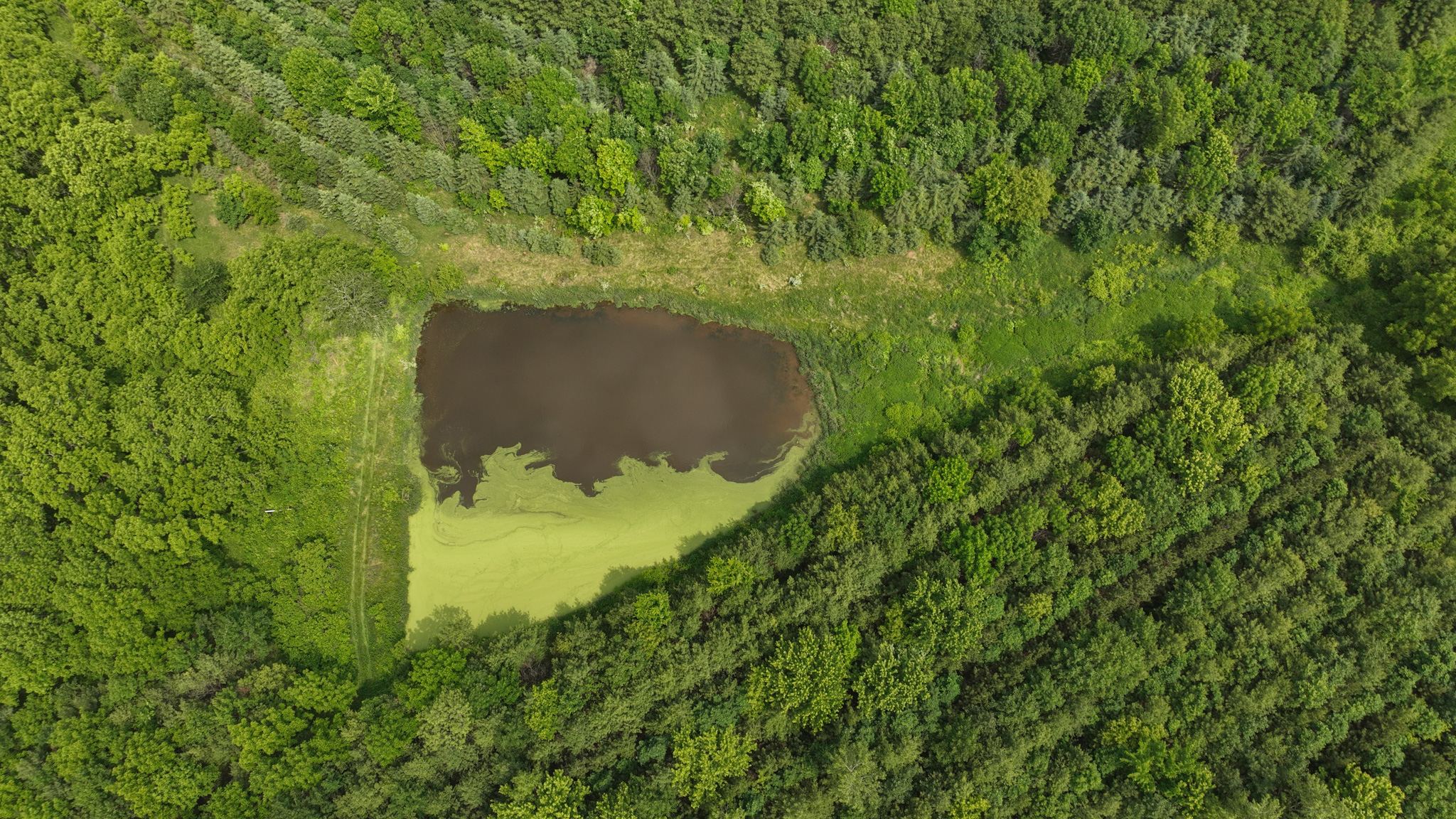 Recreational Paradise in the Driftless Area – 40-Acre Haven in Vernon County, WI