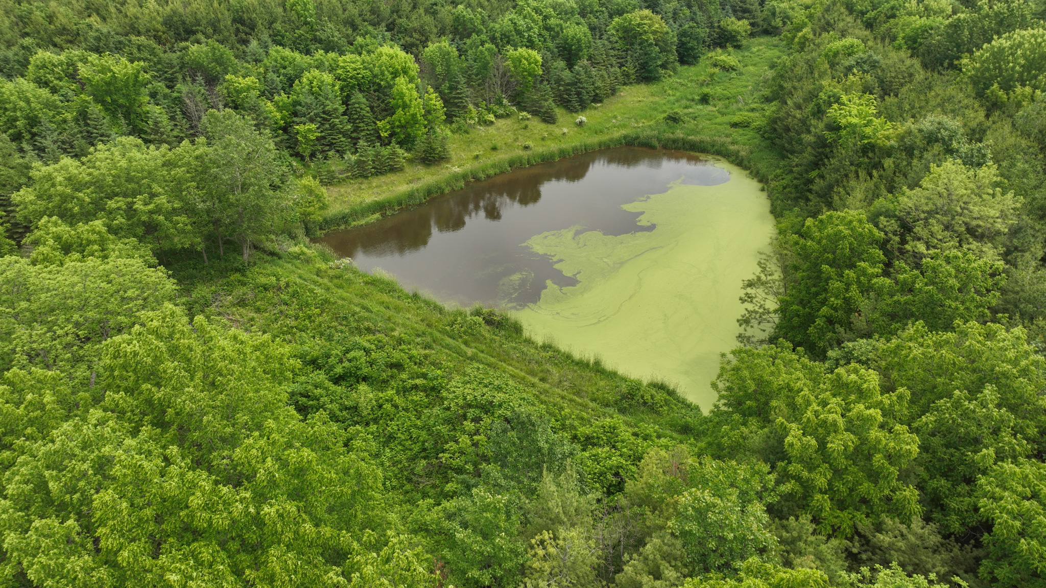 Recreational Paradise in the Driftless Area – 40-Acre Haven in Vernon County, WI