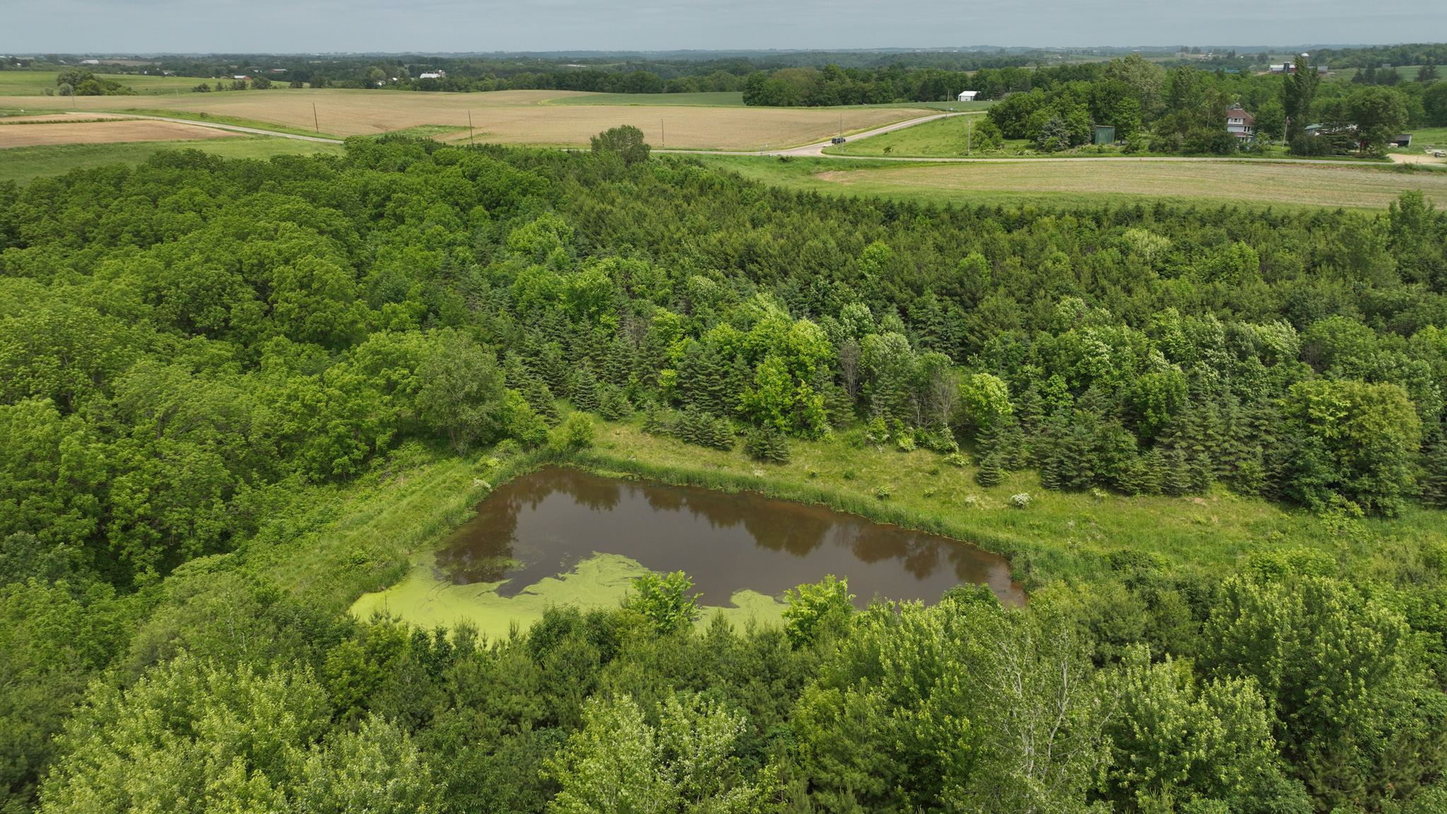 Recreational Paradise in the Driftless Area – 40-Acre Haven in Vernon County, WI