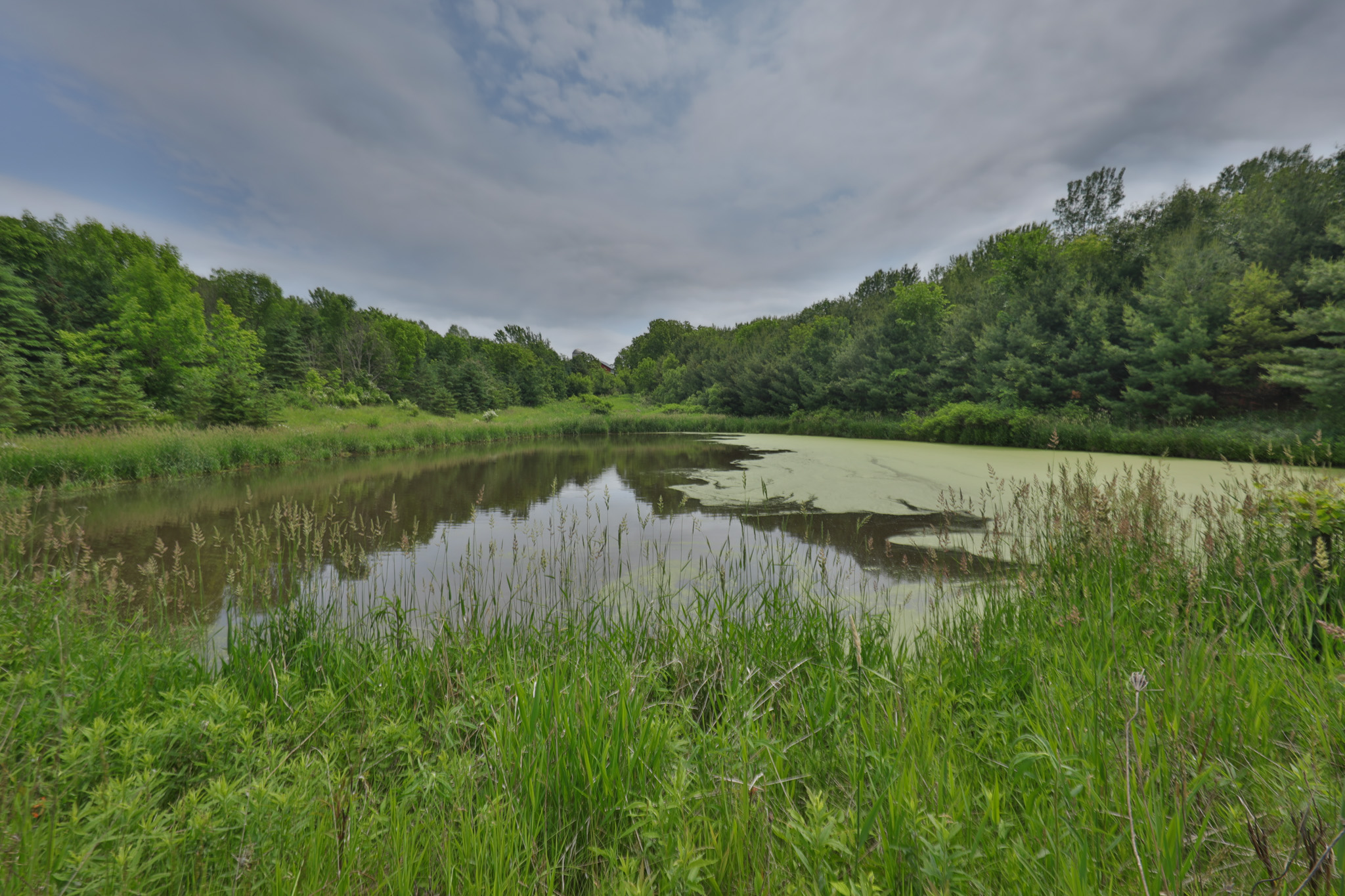 Recreational Paradise in the Driftless Area – 40-Acre Haven in Vernon County, WI