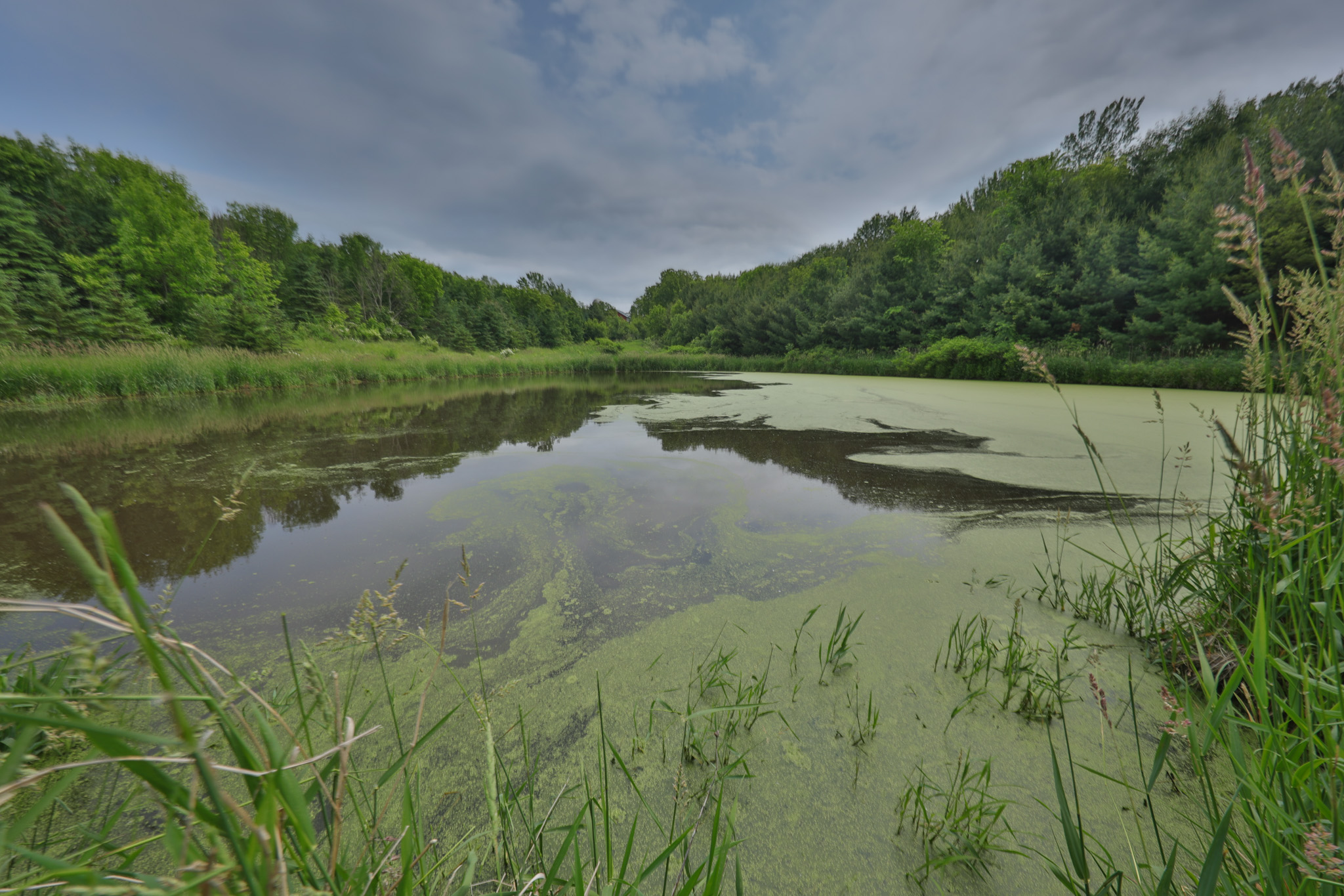 Recreational Paradise in the Driftless Area – 40-Acre Haven in Vernon County, WI