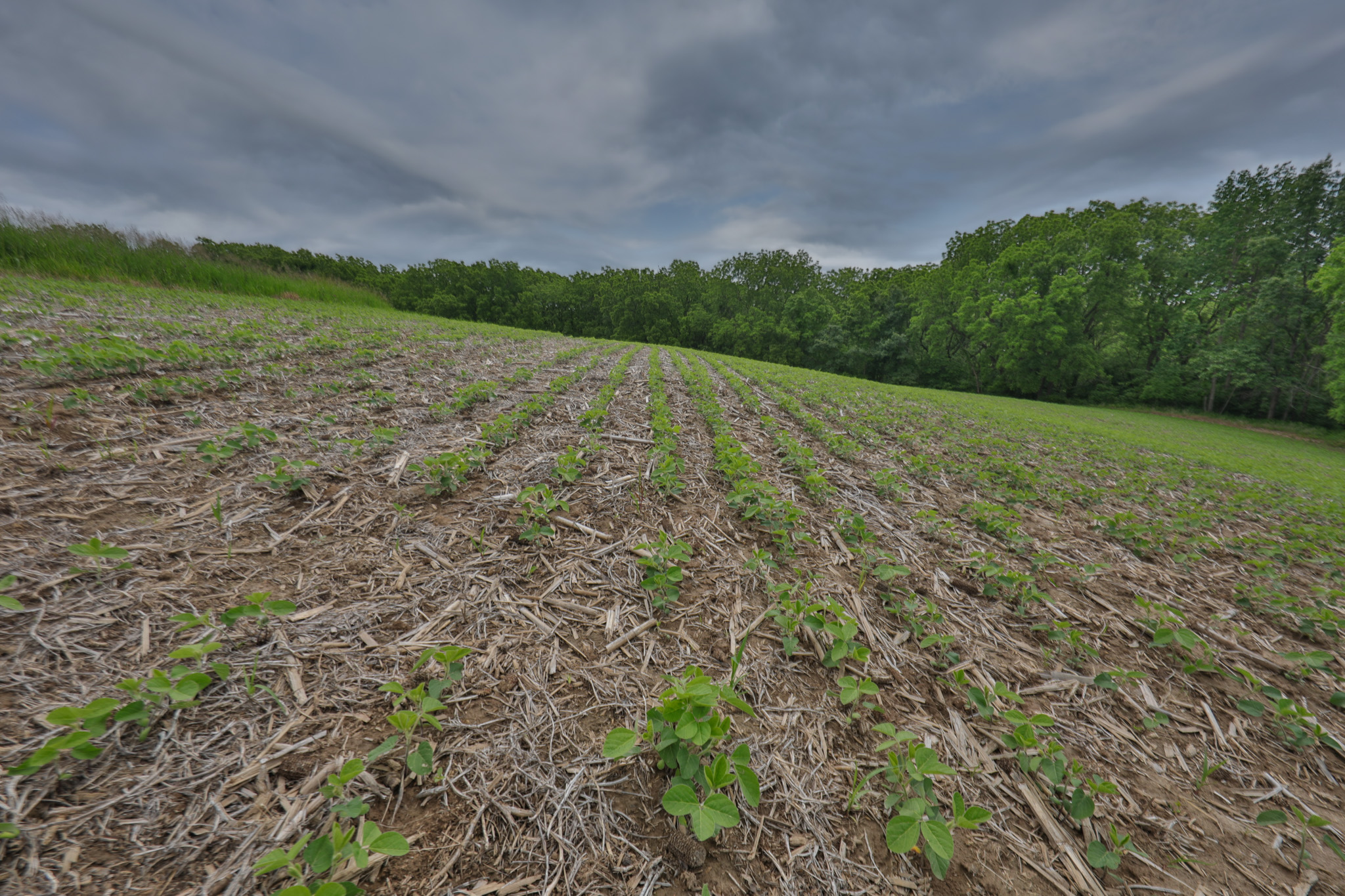 Recreational Paradise in the Driftless Area – 40-Acre Haven in Vernon County, WI