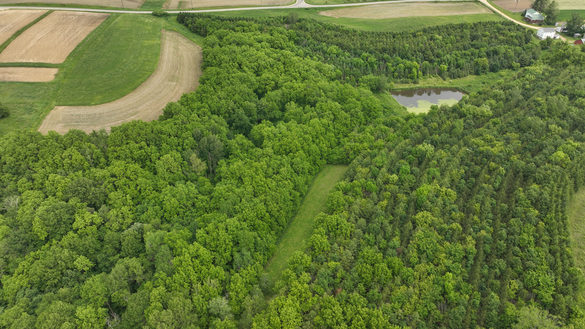 Recreational Paradise in the Driftless Area – 40-Acre Haven in Vernon County, WI